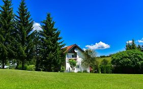 Apartments Marija